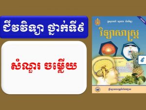 ជីវវិទ្យា សំណួរ-ចម្លើយ ថ្នាក់ទី៩